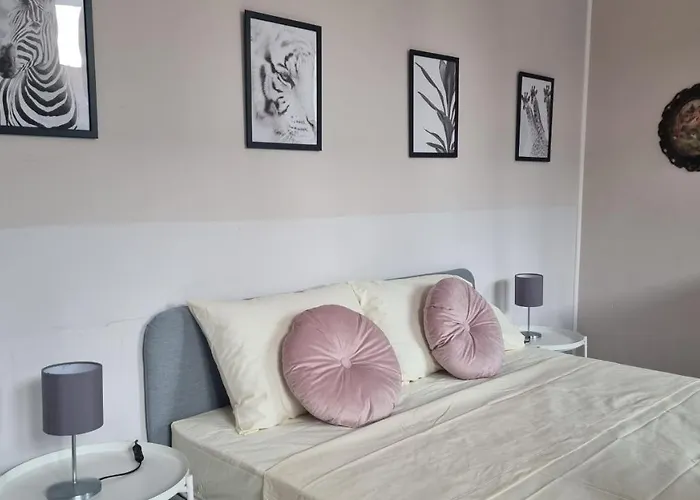 Carolina\'S Home